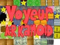 Ігра Voyeur arkanoid