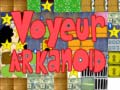 Игра Voyeur arkanoid