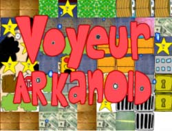 Игра Вуайерист арканоид онлайн