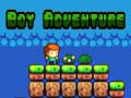 Игра Boy Adventure