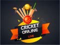 Игра Cricket Online