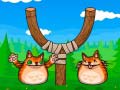 Игра Shot The Angry Cat