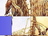 Игра Birds in the bush