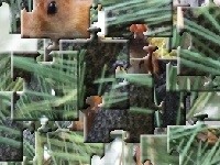 Игра A small protein