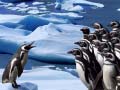 Ігра Penguins Slide