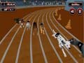 Ігра Crazyl Dog Racing Fever
