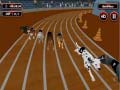 Игра Crazyl Dog Racing Fever