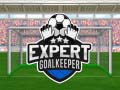 Игра Expert Goalkeeper