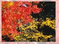 Игра Choose a puzzle 3