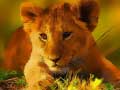 Игра Wild Baby Animals Jigsaw