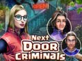 Игра Next Door Criminals