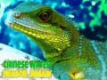 Игра Chinese Water Dragon Jigsaw