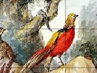 Игра Birds in the wood