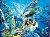 Игра Tutrtles in the ocean