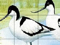 Игра Two funny birds