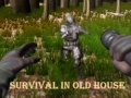 Игра Survival In Old House