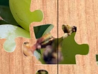 Игра Tasty olives