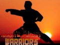 Ігра Karate Sunset Warriors