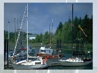 Игра Choose a puzzle 9