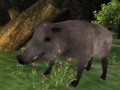 Игра Wild boar Hunting