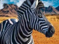 Игра Zebra Hunter