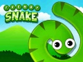 Ігра Frenzy Snake