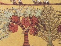 Игра Mummy revenge