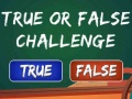 Игра  True Or False Challenge