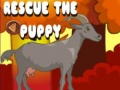 Игра Rescue The Puppy