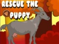 Ігра Rescue The Puppy