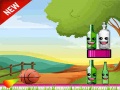 Игра Bottle Shooter