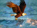 Игра Animals Jigsaw Puzzle Eagle