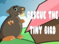 Ігра Rescue The Tiny Bird