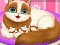 Игра Cute Kitty Pregnant