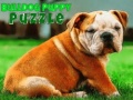 Игра Bulldog Puppy Puzzle