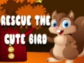 Игра Rescue The Cute Bird