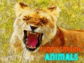 Игра Funny Smiling Animals