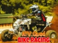 Игра ATV Quad Bike Racing
