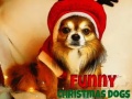 Игра Funny Christmas Dogs