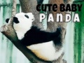 Игра Cute Baby Panda