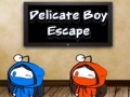 Ігра Delicate Boy Escape