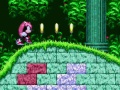 Ігра Mighty & Ray In Sonic 2