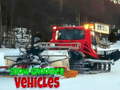 Ігра Snow Groomer Vehicles