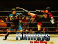 Игра Fighters in the Ring