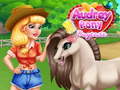 Игра Audrey Pony Daycare