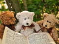 Ігра Cuddly Three Teddy Jigsaw