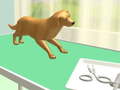 Игра Paw Care