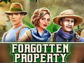 Ігра Forgotten Property