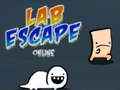 Игра Lab Escape Online