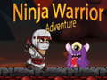 Ігра Ninja Warrior Adventure